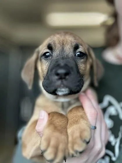 Murphy