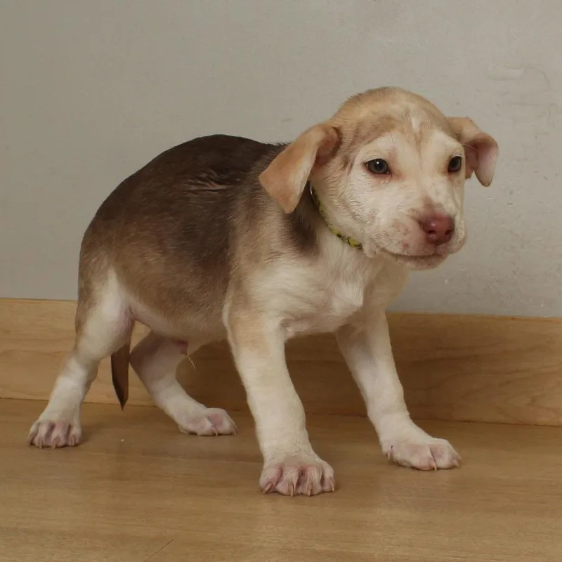 Picnic D thumbnail 3