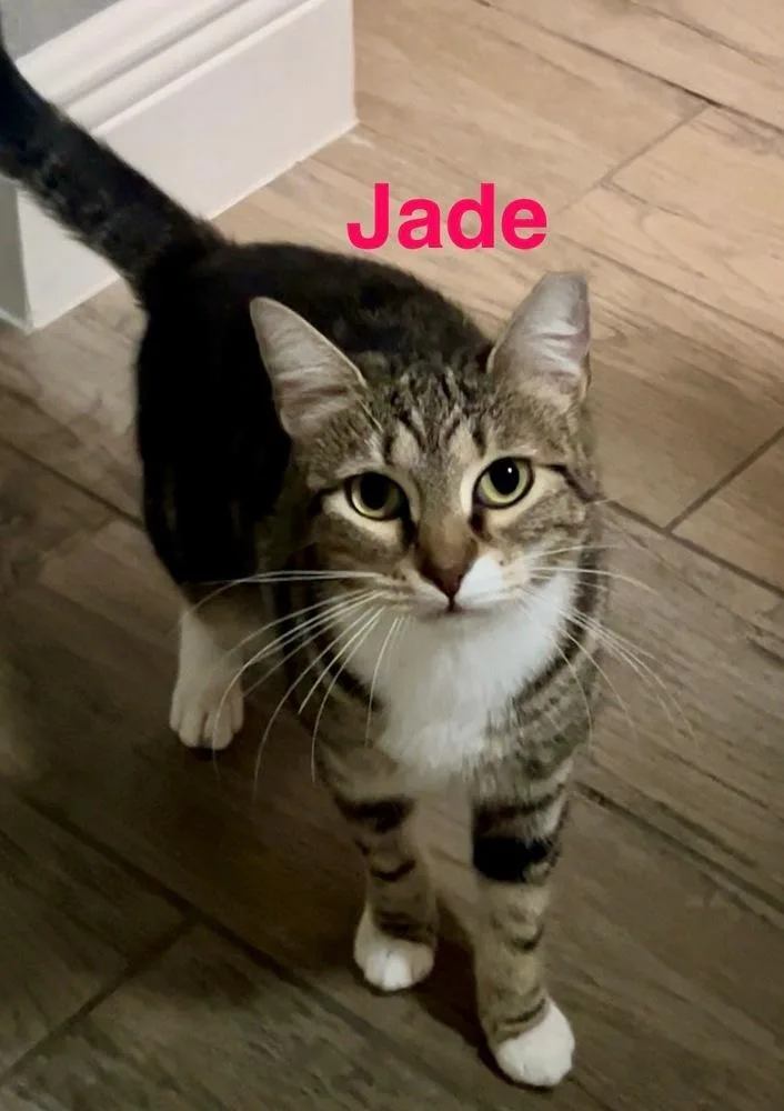Jade
