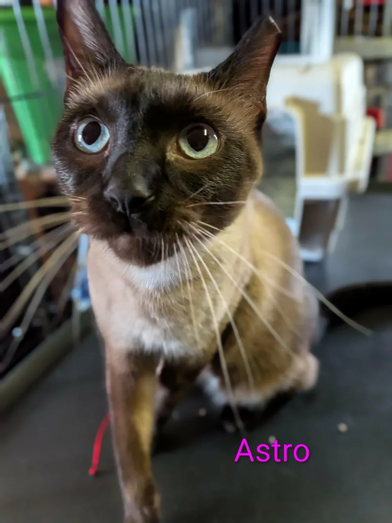 Astro & Little Boy