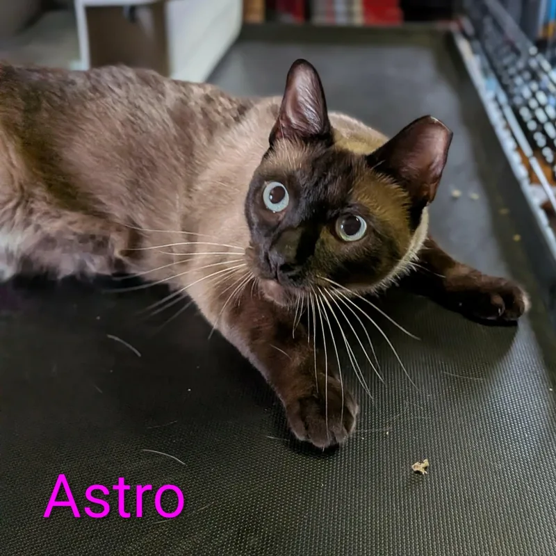 Astro & Little Boy thumbnail 2