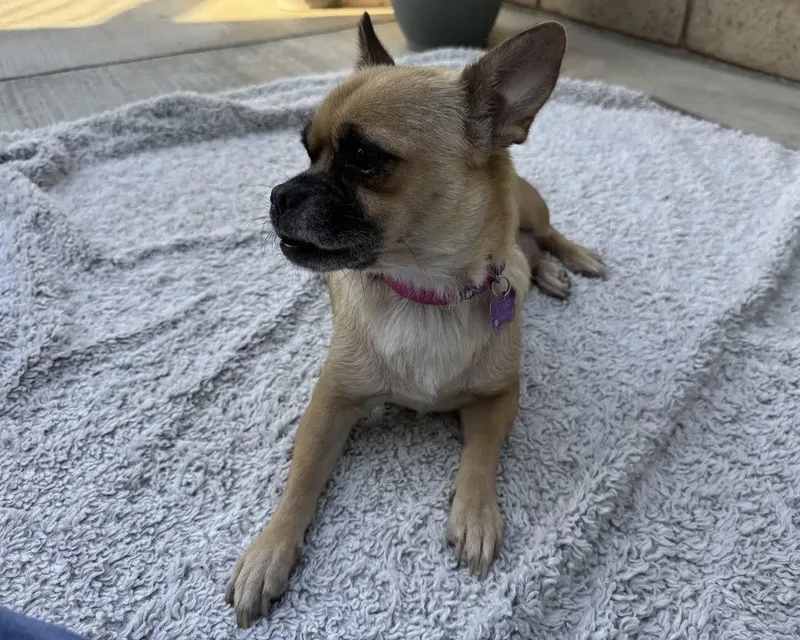 Lola thumbnail 2