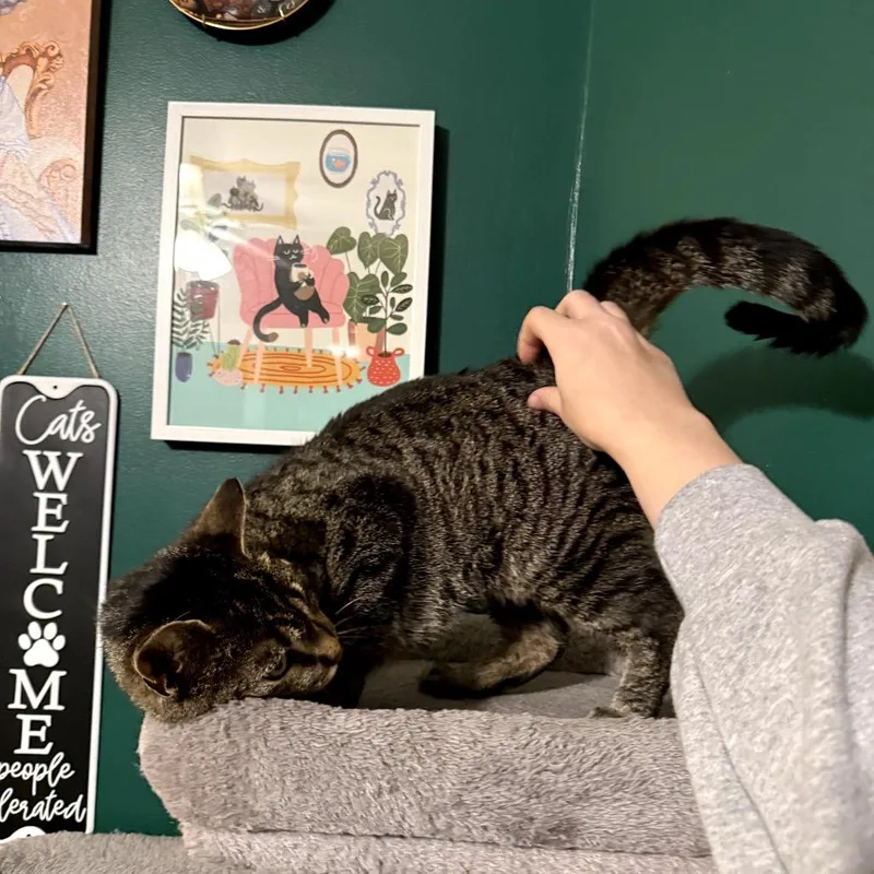 Winnie thumbnail 6
