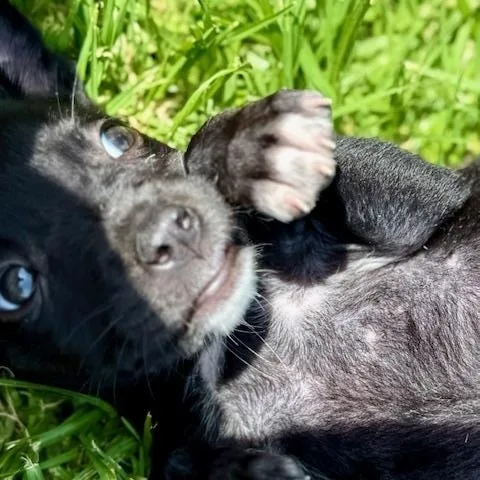 Tootie thumbnail 3