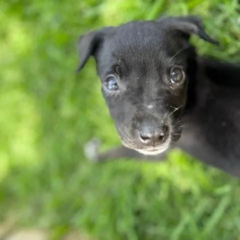 Tootie thumbnail 5