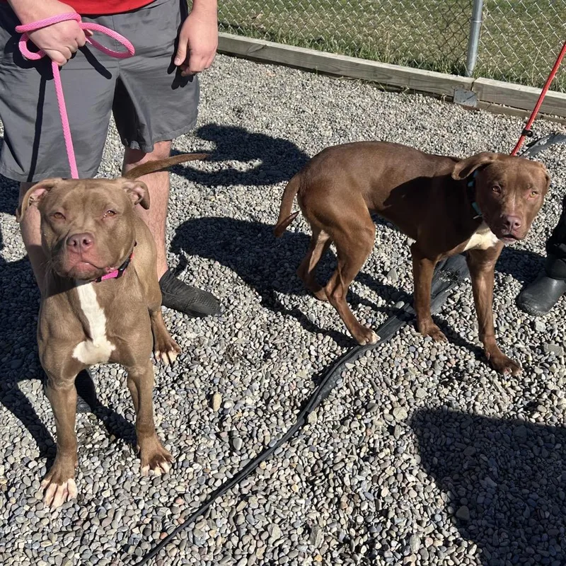 Mary Kate thumbnail 2