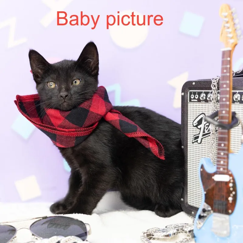 Gwen Stefani thumbnail 3