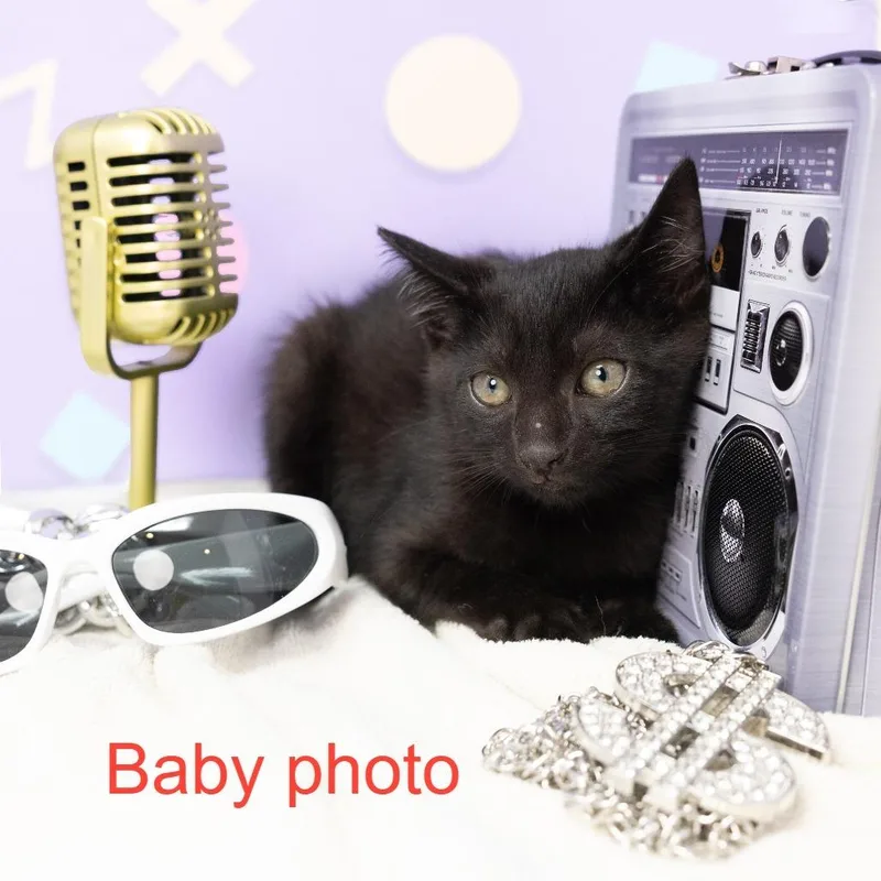 Gwen Stefani thumbnail 6