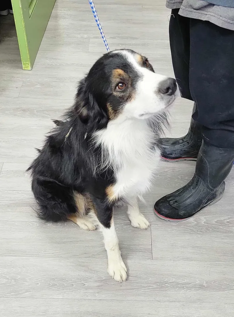 Vault: Graduate Of The thumbnail 2