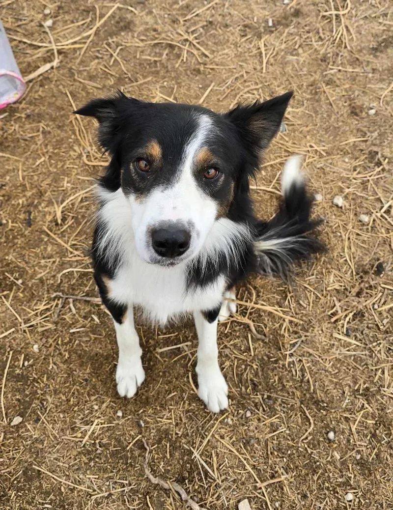 Vault: Graduate Of The thumbnail 3