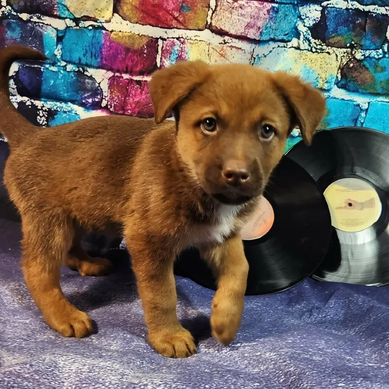 Evanescence Al thumbnail 2