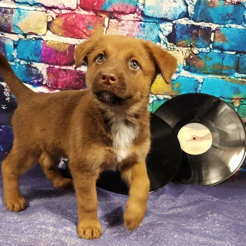 Evanescence Al thumbnail 3