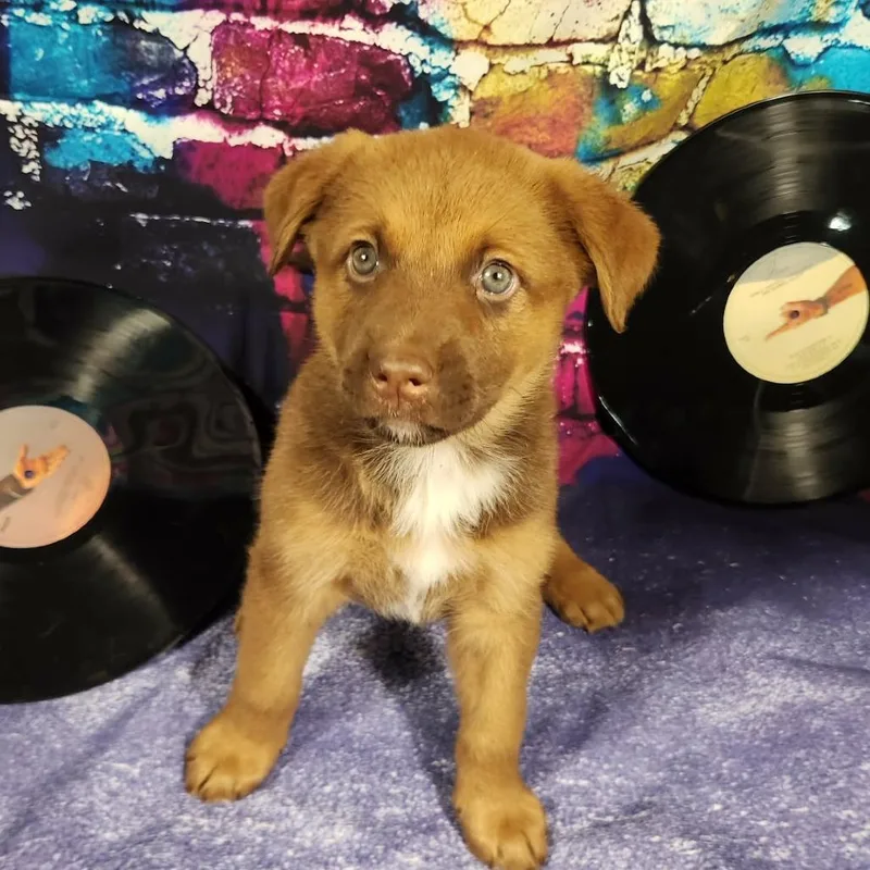 Evanescence Al thumbnail 4