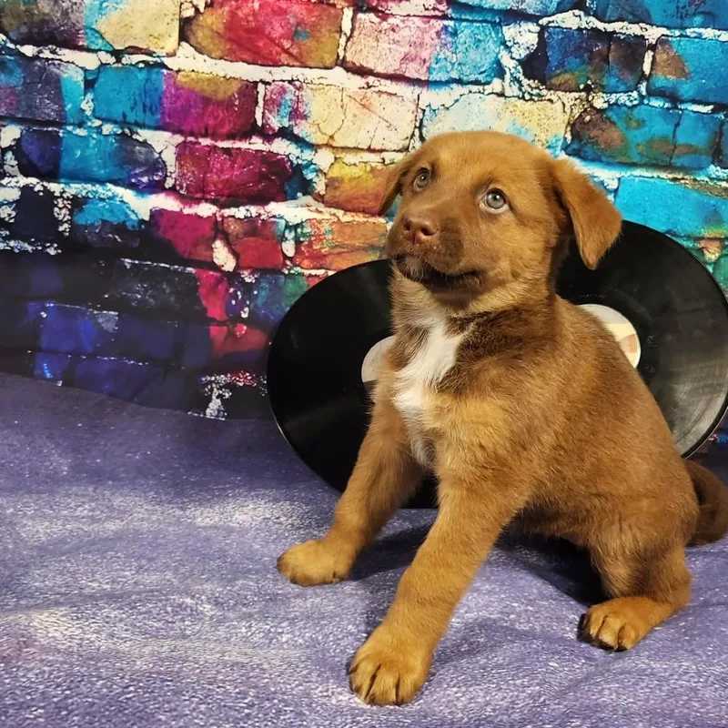 Evanescence Al thumbnail 6