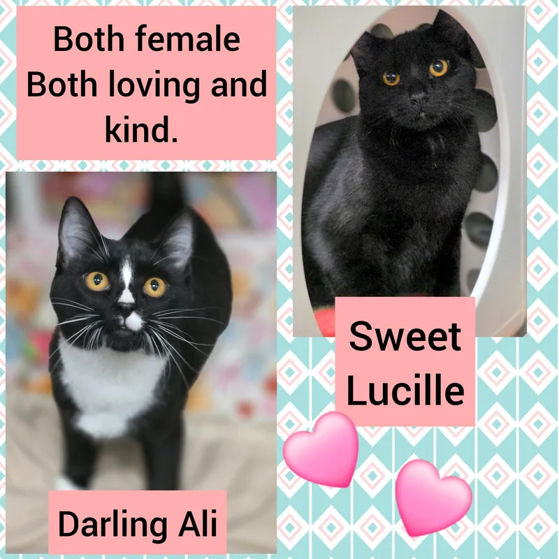Ali and Lucille thumbnail 2