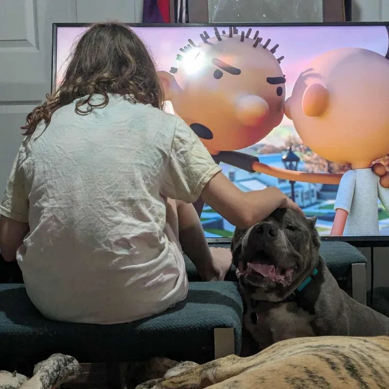 Brutus Beefcake thumbnail 5