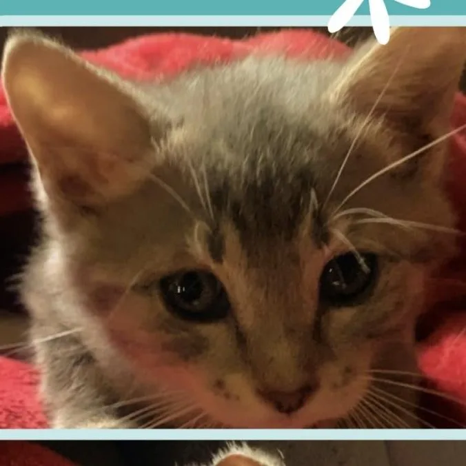 Gabby thumbnail 2