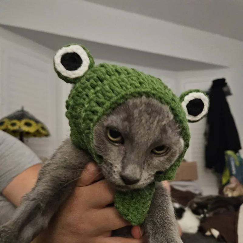 Mr. Tumnus thumbnail 6