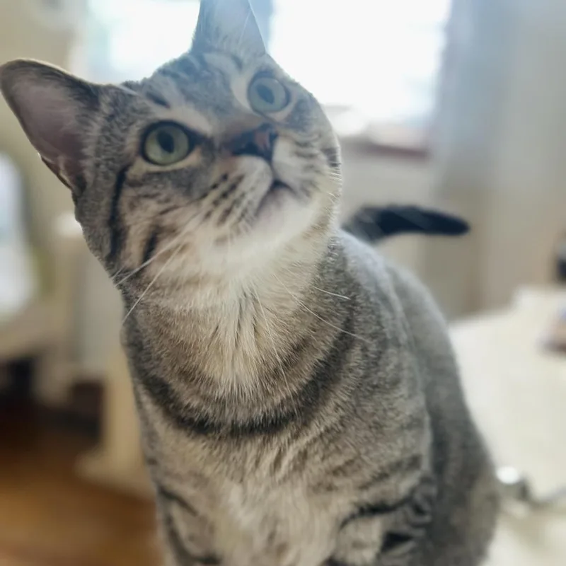 Theo thumbnail 2