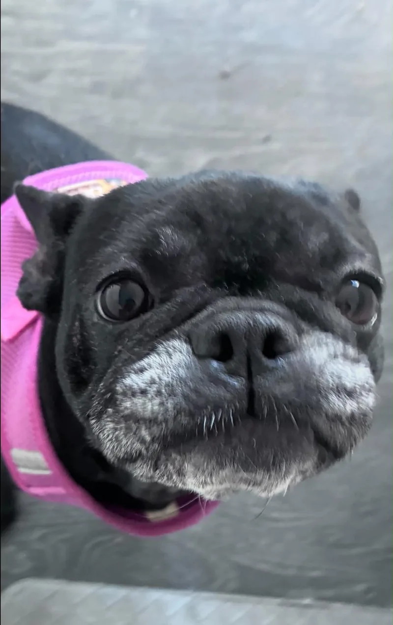 Lucy