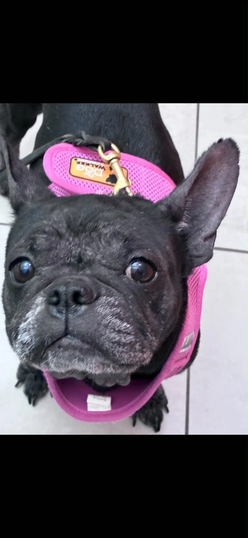 Lucy thumbnail 3