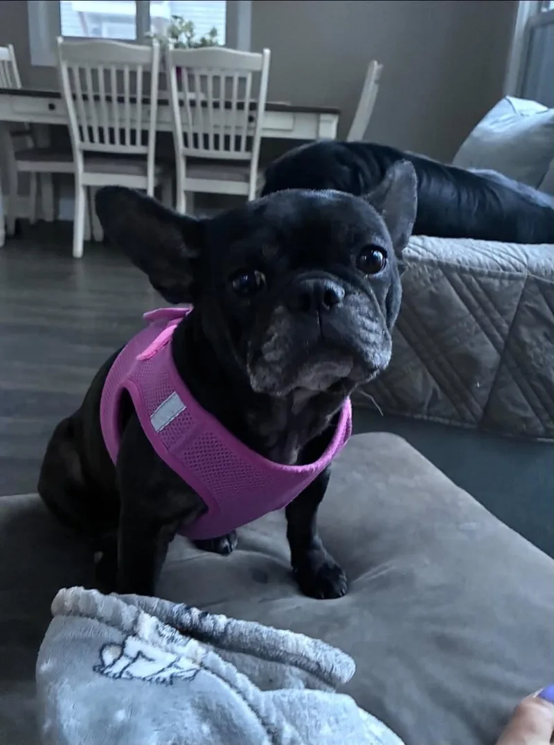 Lucy thumbnail 5