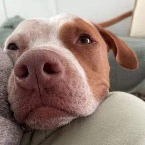 Front Porch thumbnail 6