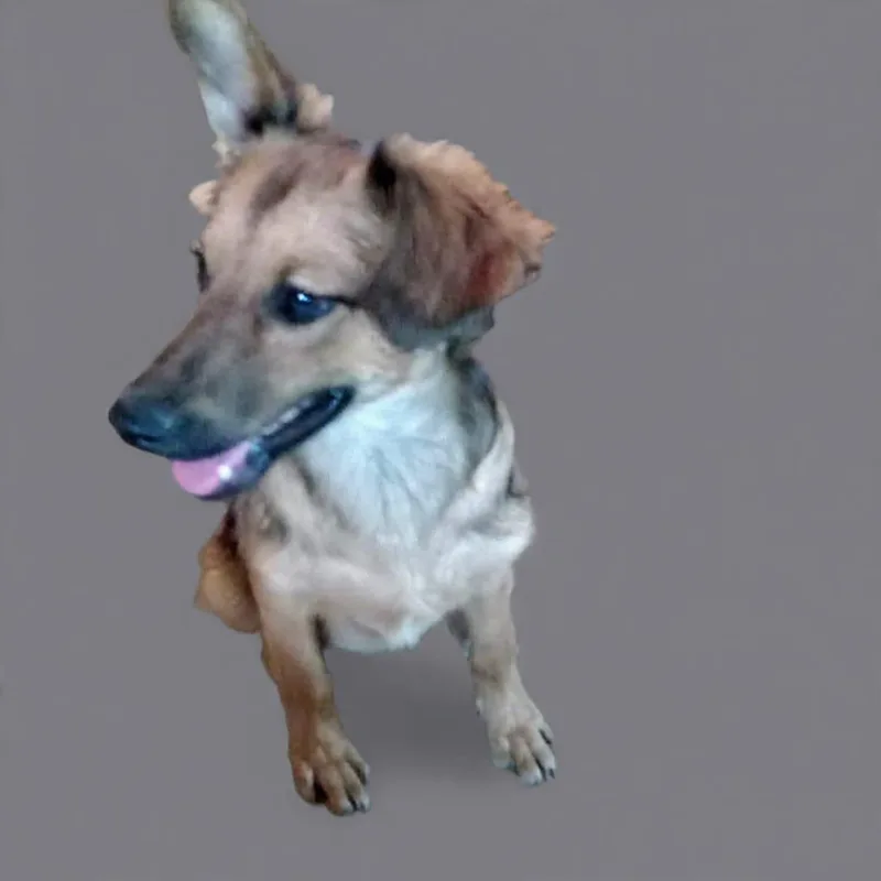Amanda thumbnail 2