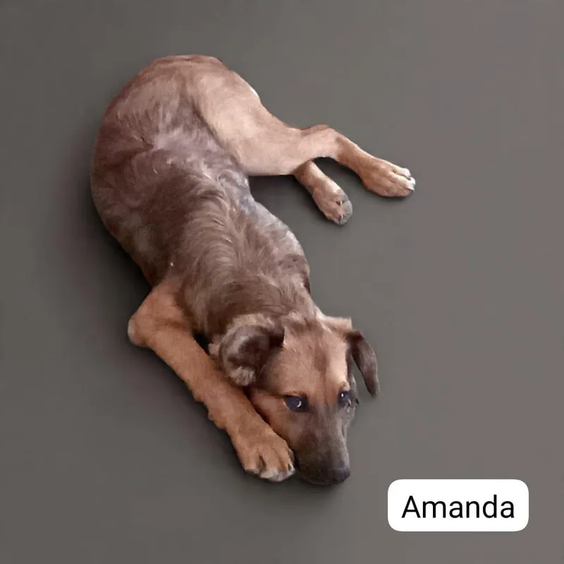 Amanda thumbnail 3