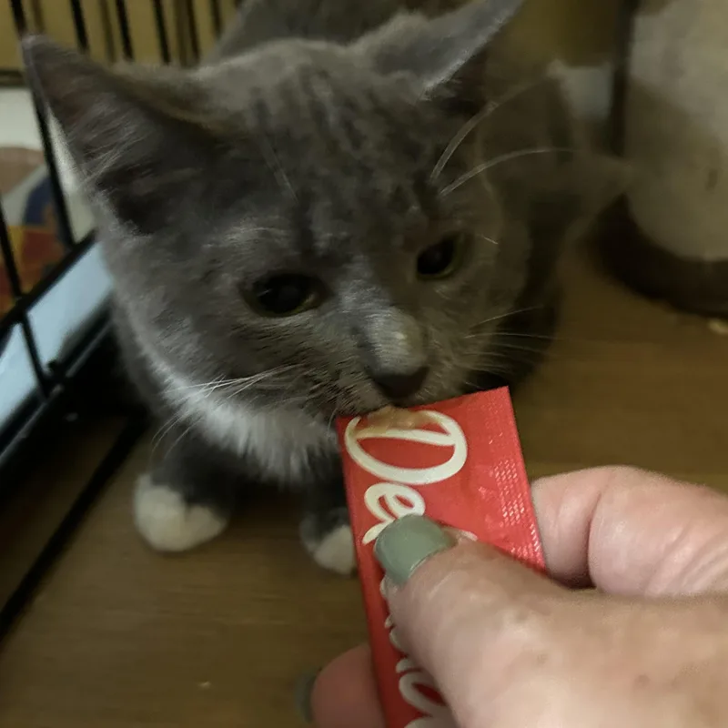 Terry thumbnail 4