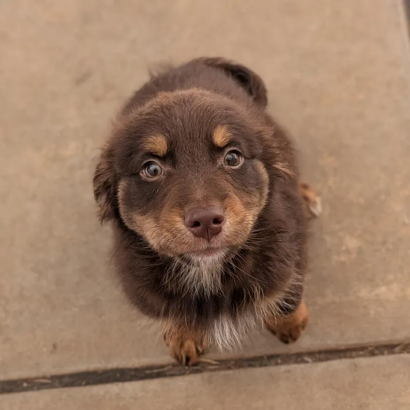 Floof thumbnail 2