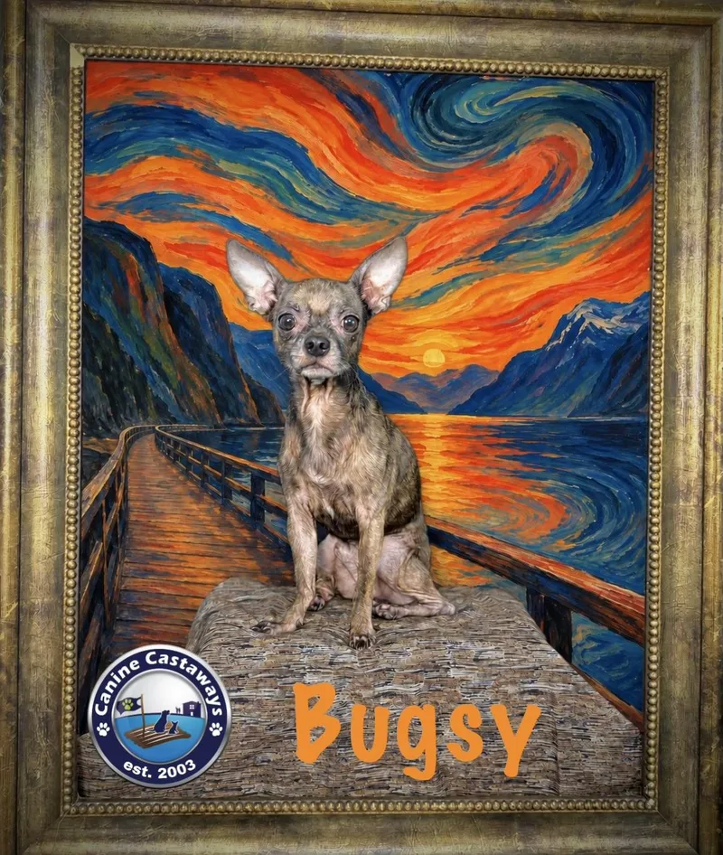 Bugsy thumbnail 4