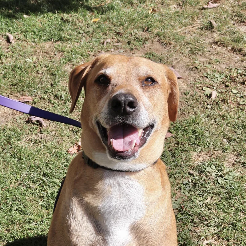 Polo  My Fee thumbnail 5