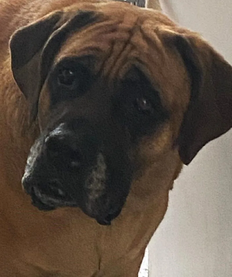 Franchesca thumbnail 3