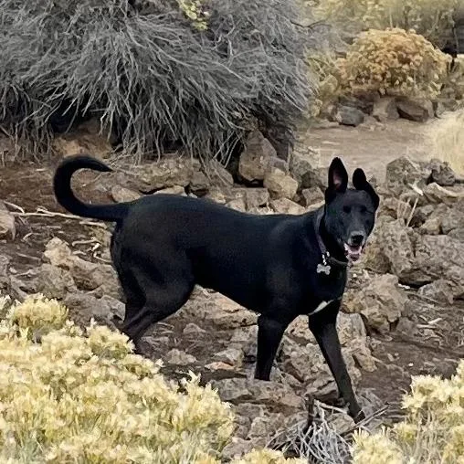 Obsidian thumbnail 2