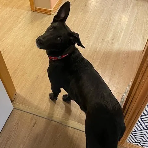 Obsidian thumbnail 3