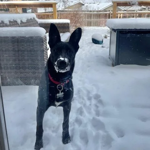 Obsidian thumbnail 6