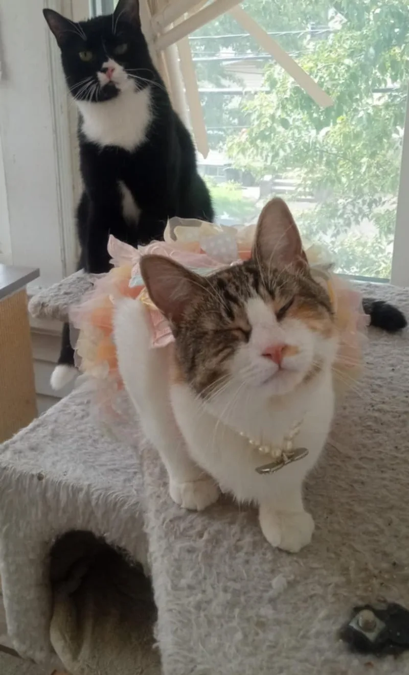 Grimace And Rosie thumbnail 4