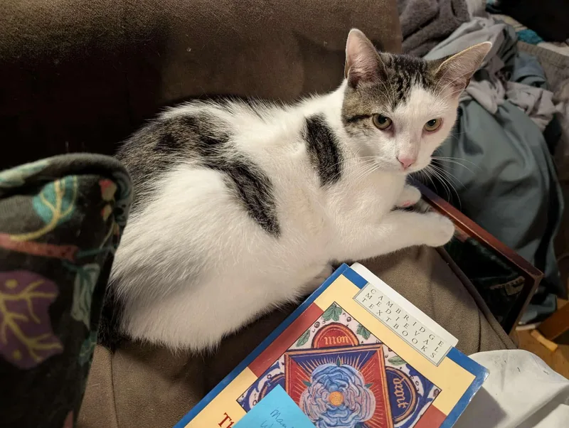 Roquefort thumbnail 4