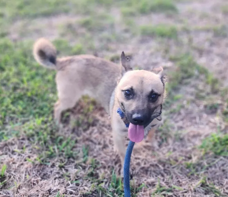 Paco thumbnail 3