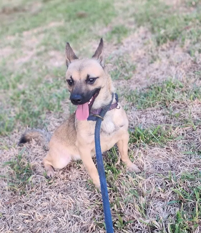 Paco thumbnail 5