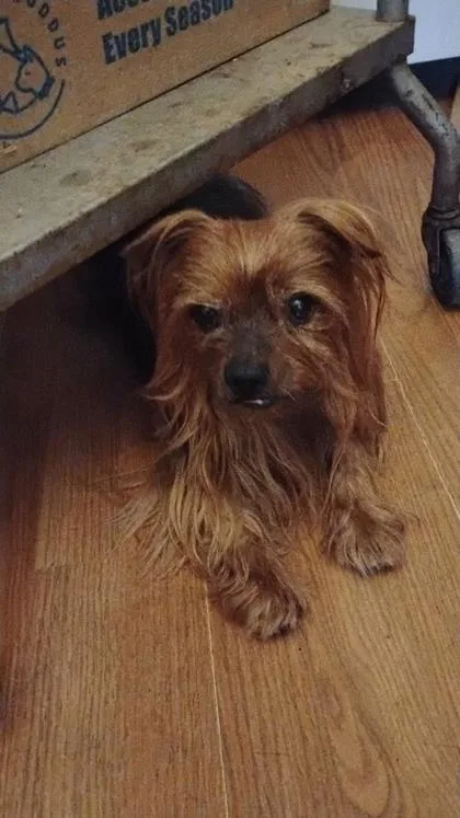Charlie