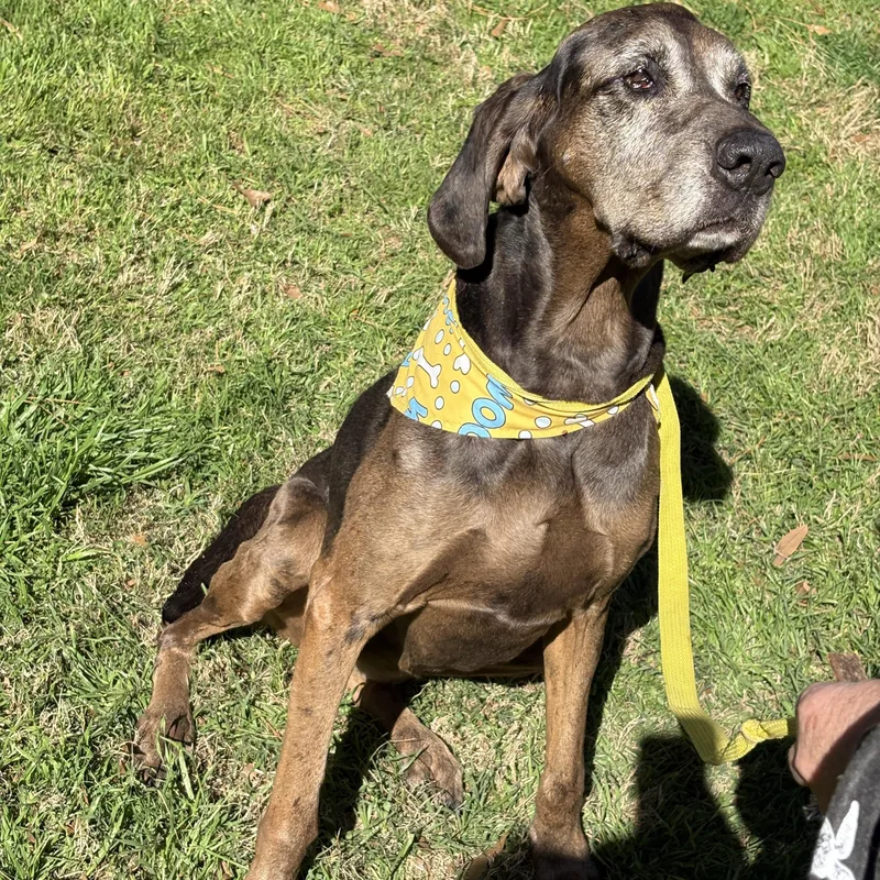 Maggie Gorgeous! thumbnail 2