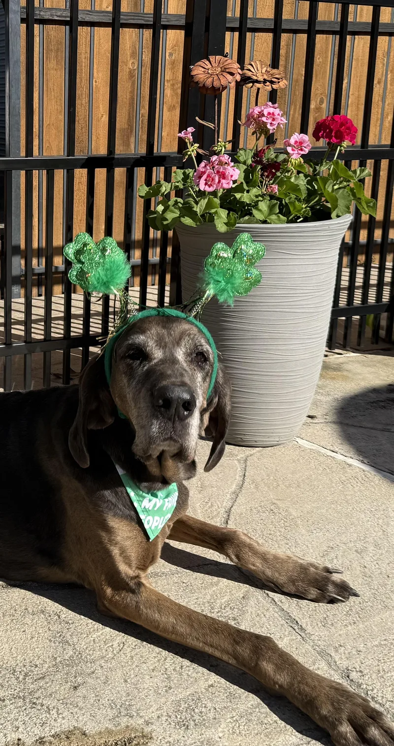 Maggie Gorgeous! thumbnail 6