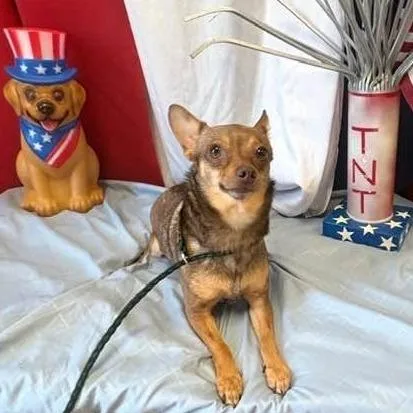Milo