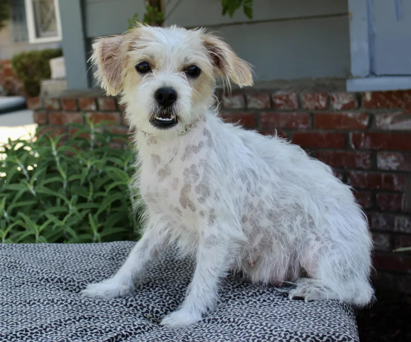 Millie