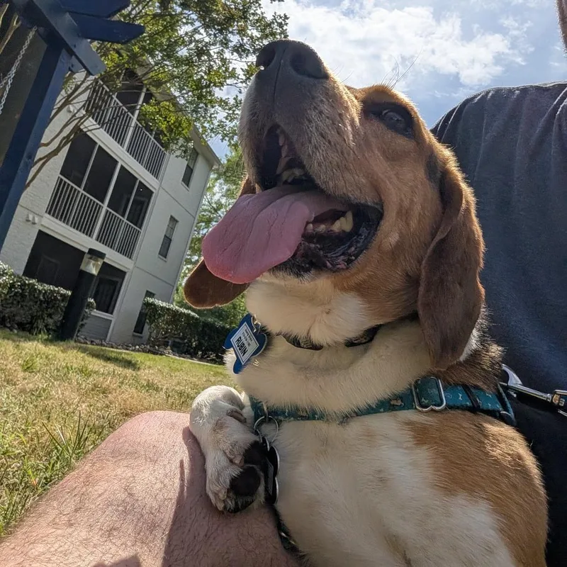 Rubin thumbnail 3