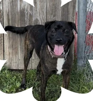 Lucy