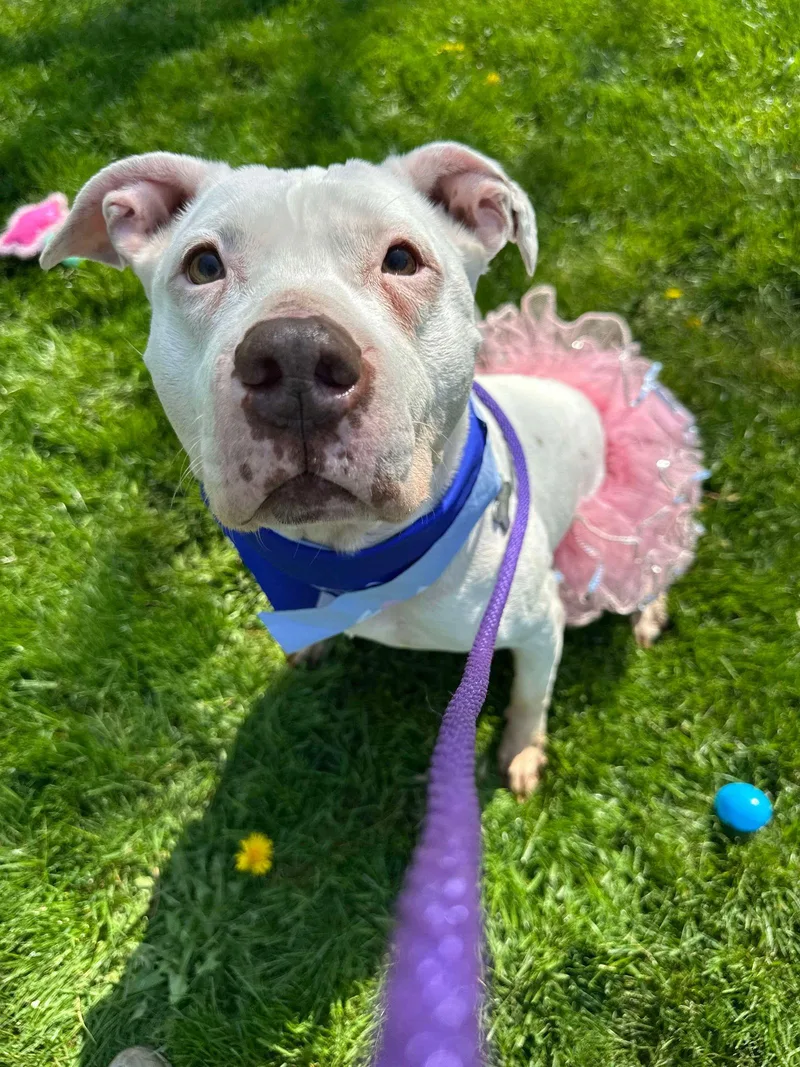 Mila May thumbnail 2