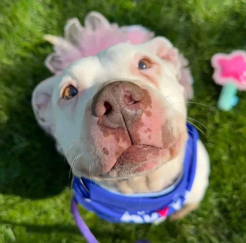 Mila May thumbnail 3